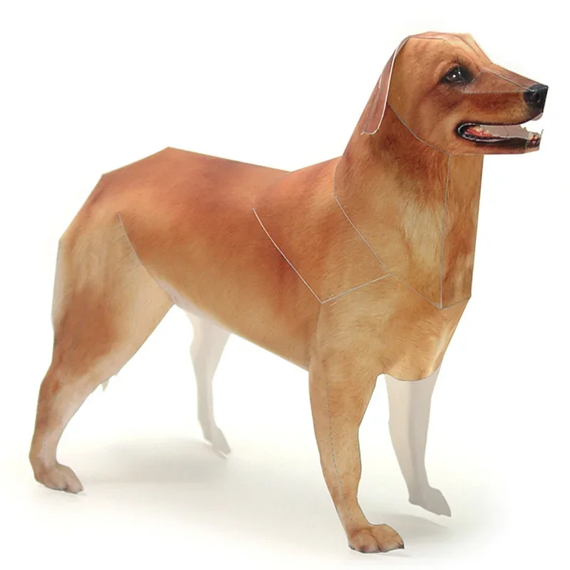 Art Craft Cardboard - Golden Retriever Dog Paper Model Realistic