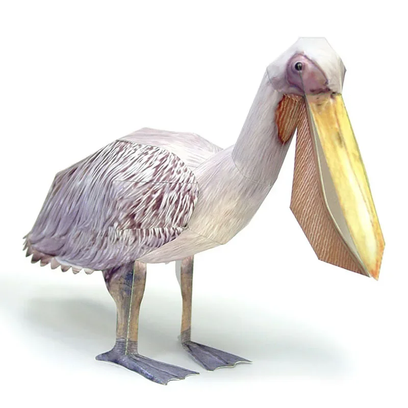 Art Craft Cardboard - Great White Pelican Bird Paper Model