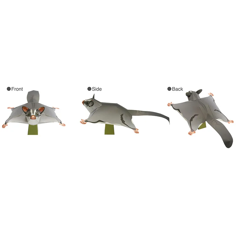 Sugar Glider Flying Mouse Hand - đánh giá và giá Art Craft Cardboard