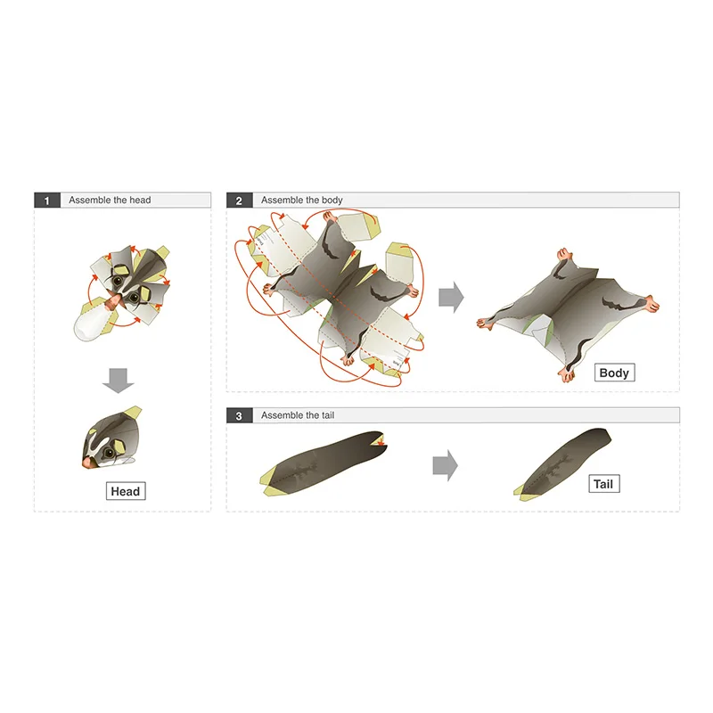Sugar Glider Flying Mouse Hand - đánh giá và giá Art Craft Cardboard