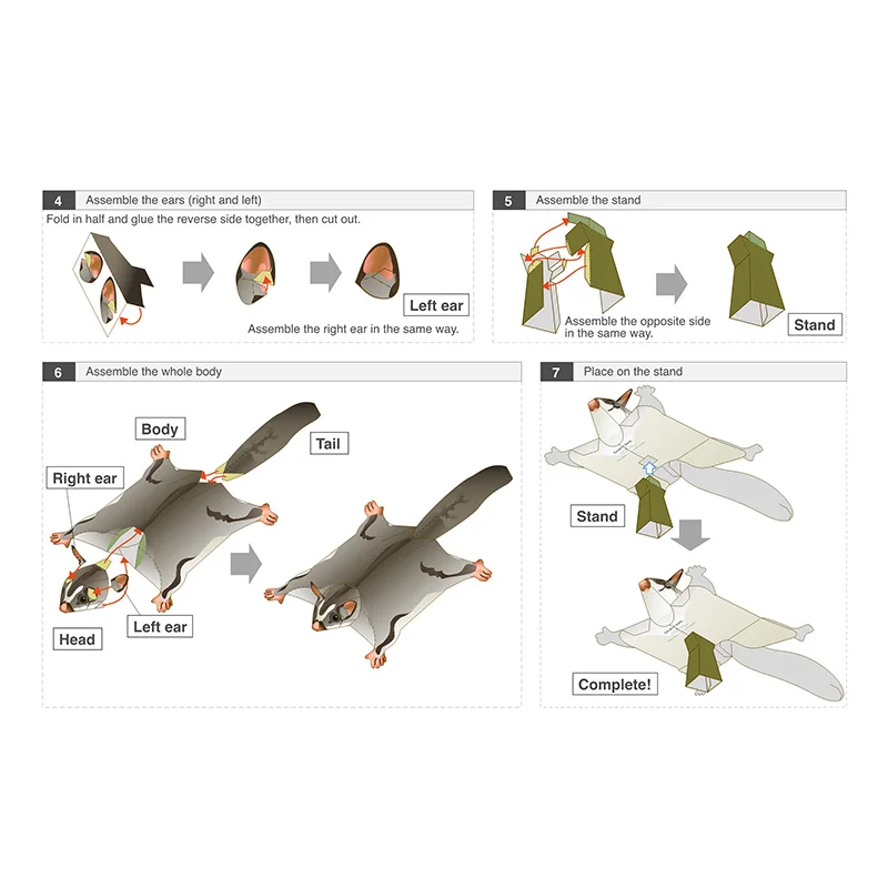 Sugar Glider Flying Mouse Hand - đánh giá và giá Art Craft Cardboard