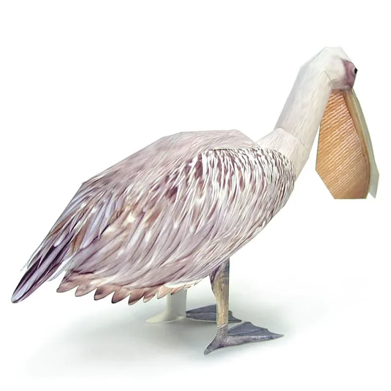 Great White Pelican Bird Paper - đánh giá và giá Art Craft Cardboard